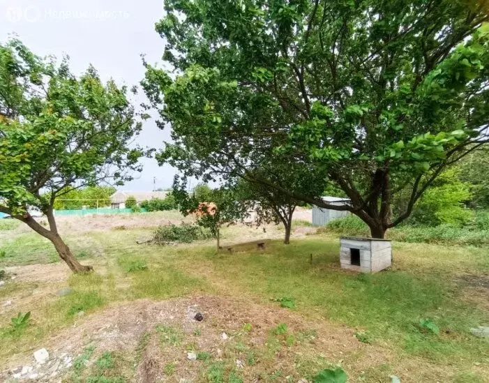 Участок в Александровка, Советская улица (5 м) - Фото 0