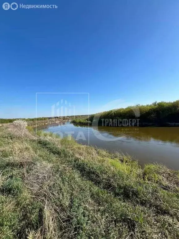 Участок в Рамонский район, Новоживотинновское сельское поселение (20 ... - Фото 1