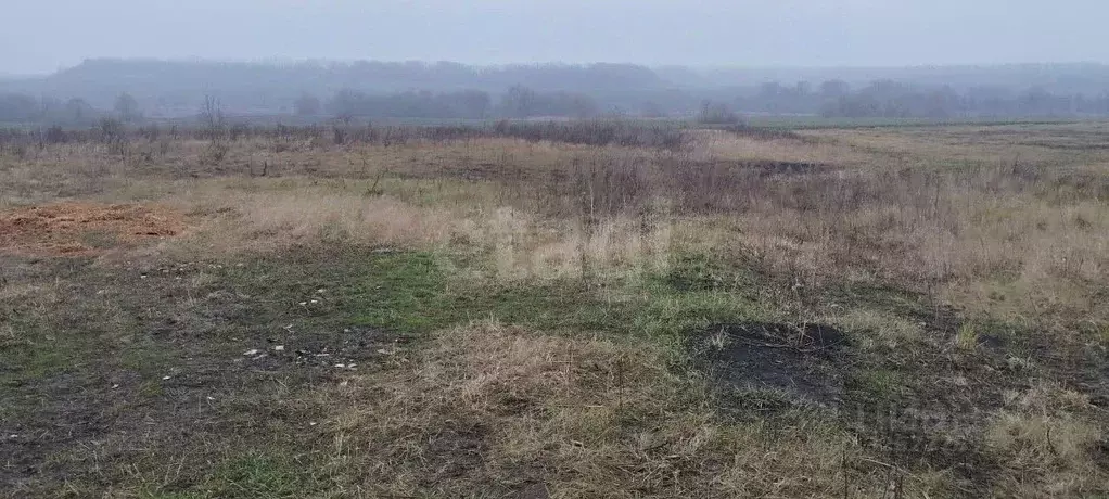 Участок в Белгородская область, Прохоровский район, с. Прелестное  ... - Фото 1