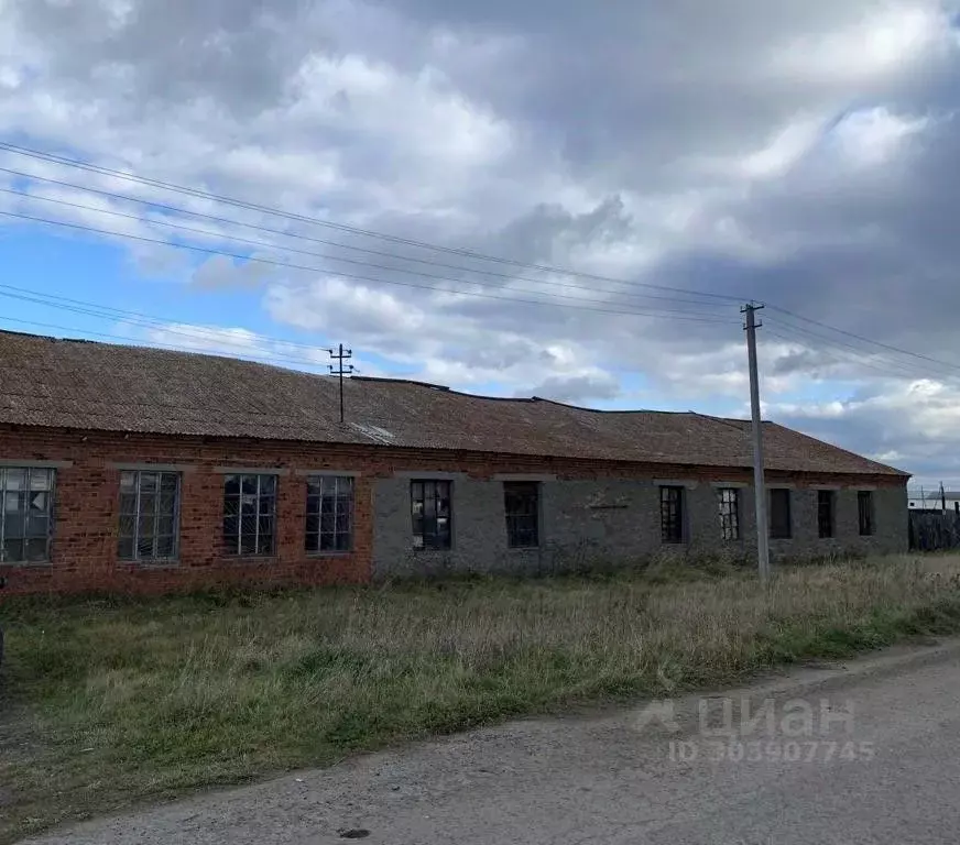 Помещение свободного назначения в Свердловская область, Белоярский ... - Фото 0