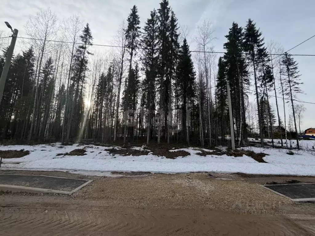 Участок в Коми, Сыктывкар ул. 10-я Линия (12.74 сот.) - Фото 1