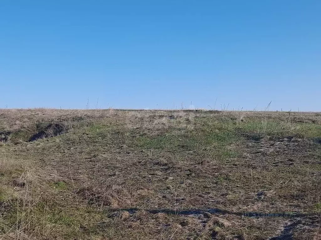 Участок в Саратовская область, Балашовский район, с. Репное  (10.1 ... - Фото 1