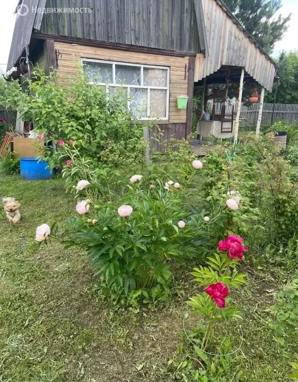 Участок в деревня Лоскутово, улица Гагарина (5 м) - Фото 1