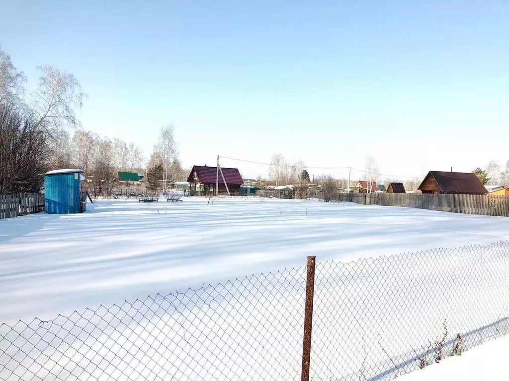 Участок в Новосибирская область, Бердск Ива СНТ, ул. 16-я, 30 (8.0 ... - Фото 0