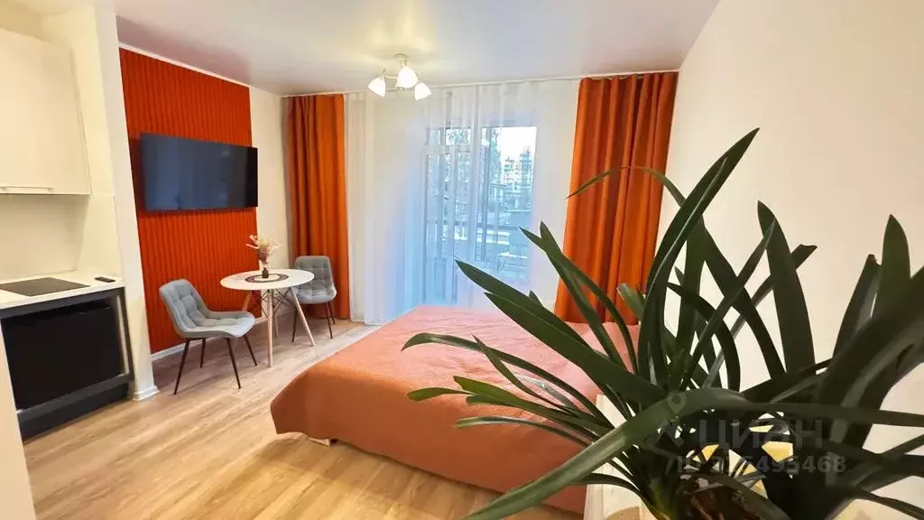 Студия Санкт-Петербург пос. Песочный, Садовая ул., 77 (24.0 м) - Фото 2