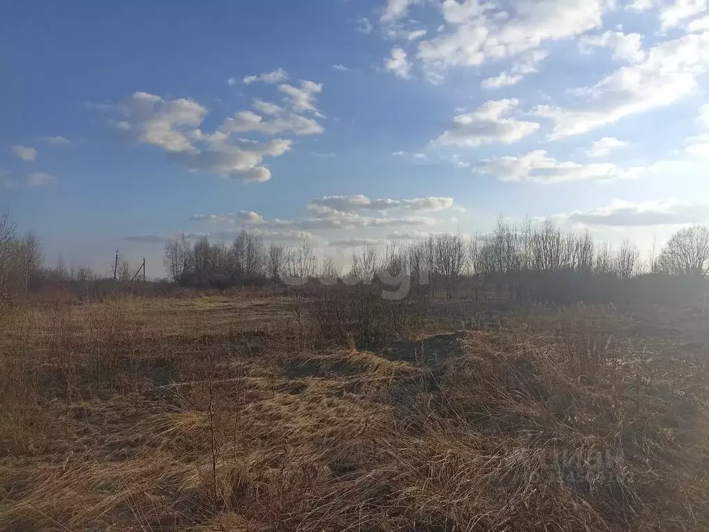 Участок в Костромская область, Красное-на-Волге пгт, пос. Птицефабрика ... - Фото 1