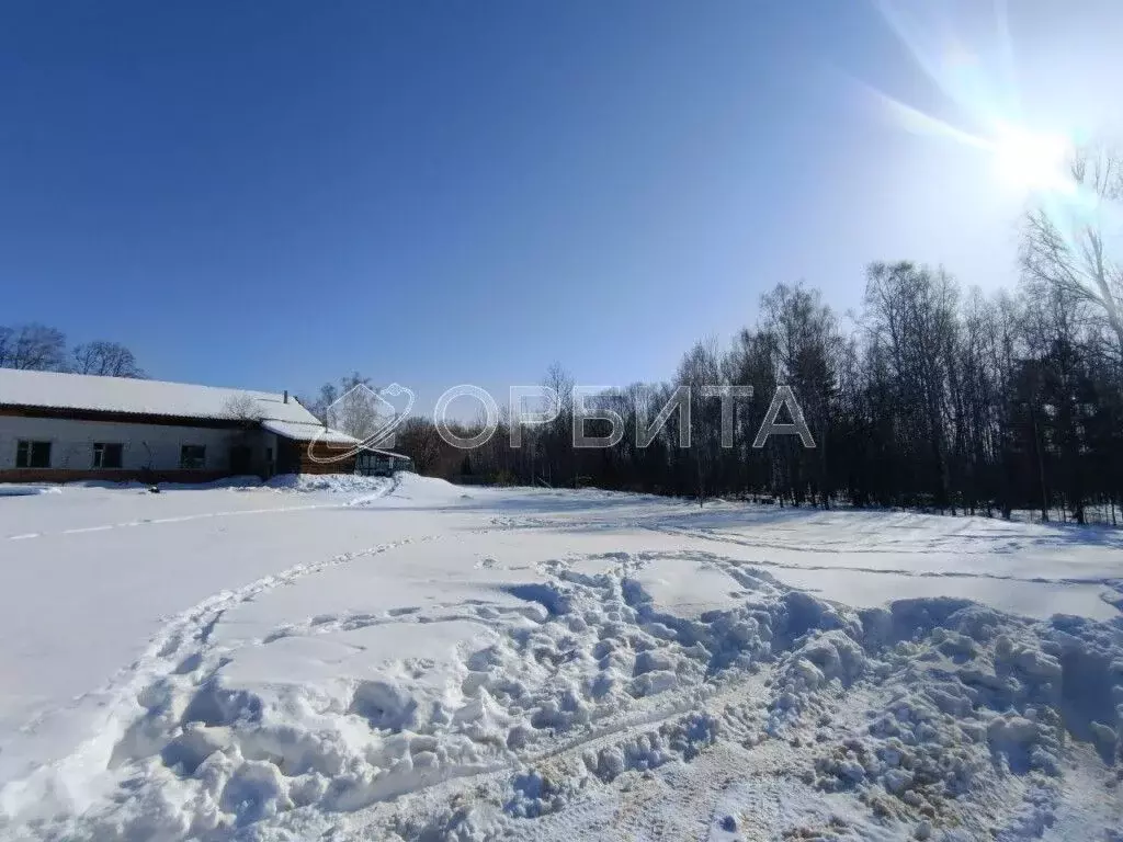 Участок в Тюменская область, Тюменский район, пос. Туринский  (8.32 ... - Фото 1