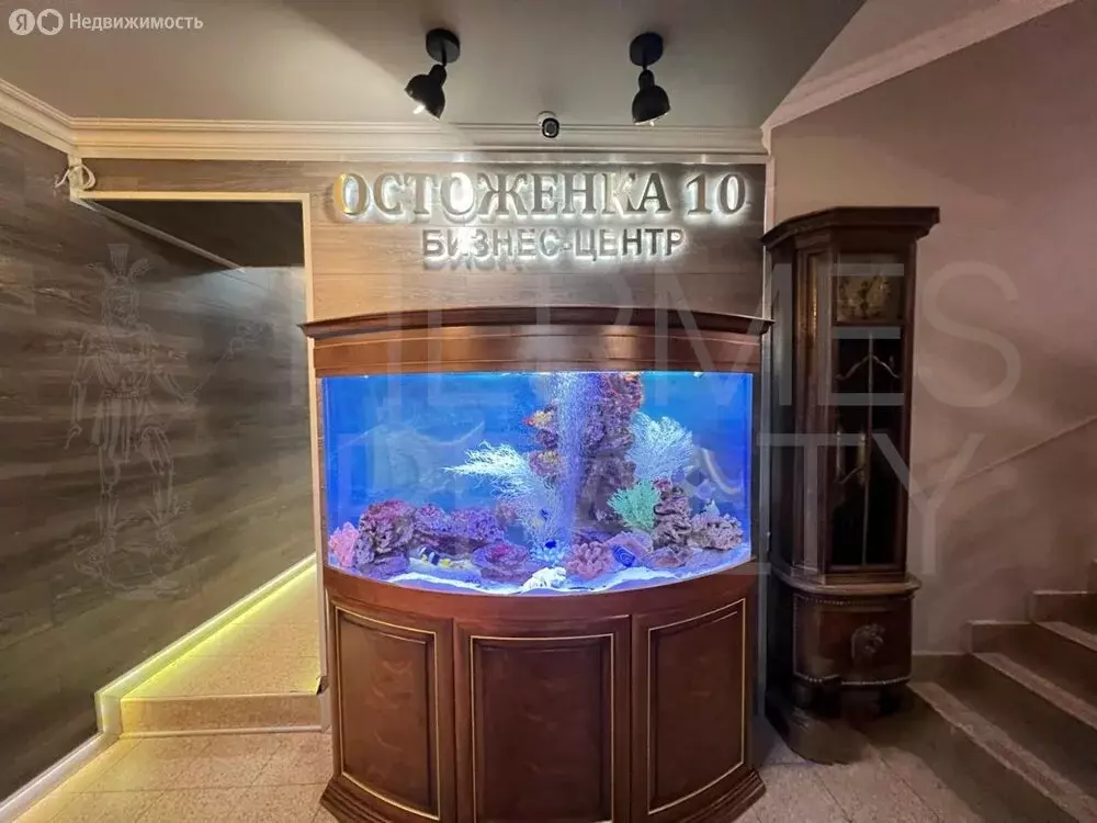 Помещение свободного назначения (167 м) - Фото 0