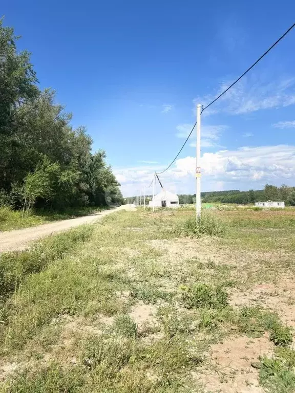 Участок в Тульская область, Тула городской округ, д. Янчерево  (10.0 ... - Фото 1