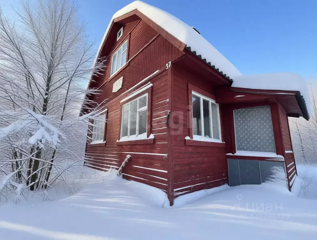 Дом в Владимирская область, Петушинский муниципальный округ, Лесная ... - Фото 2
