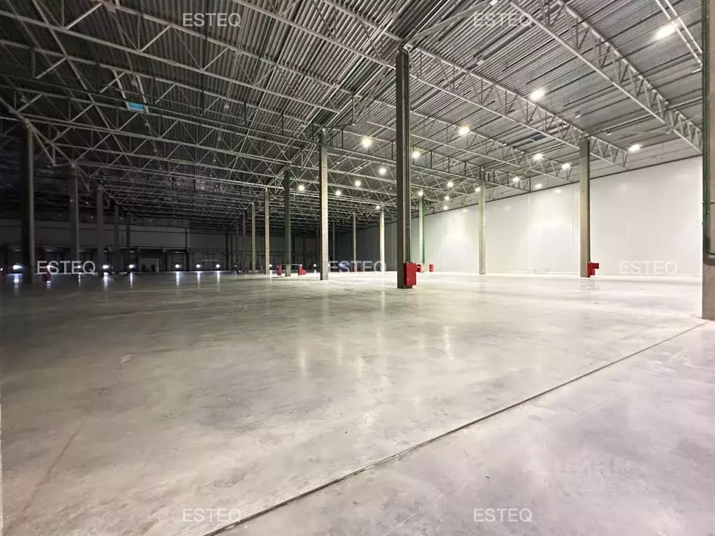 Склад в Новосибирская область, Новосибирский район, с. Толмачево ул. ... - Фото 1