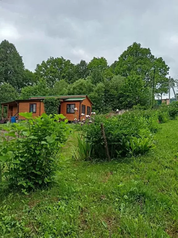 Дом в Тульская область, Алексин городской округ, д. Дулево  (50 м) - Фото 1