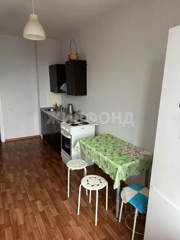 1-к кв. Новосибирская область, Новосибирск ул. Серафимовича, 30/1 ... - Фото 2