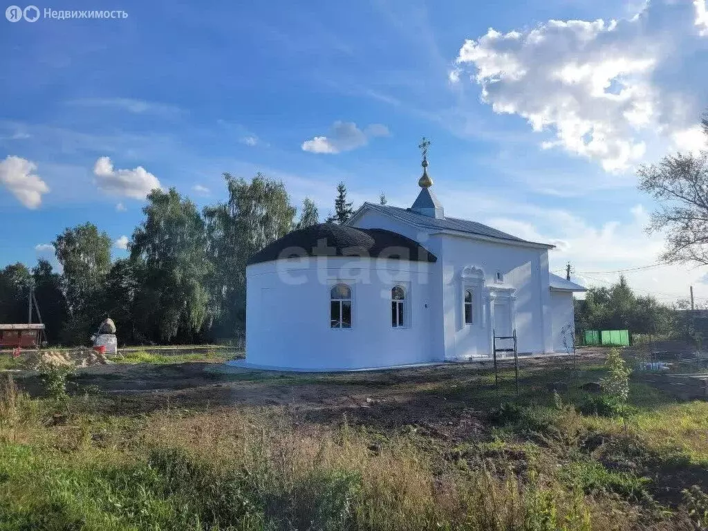 Участок в Венёвский район, сельское поселение Центральное, село Гати ... - Фото 1