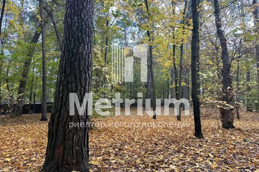 Продается участок в г. Электроугли - Фото 2