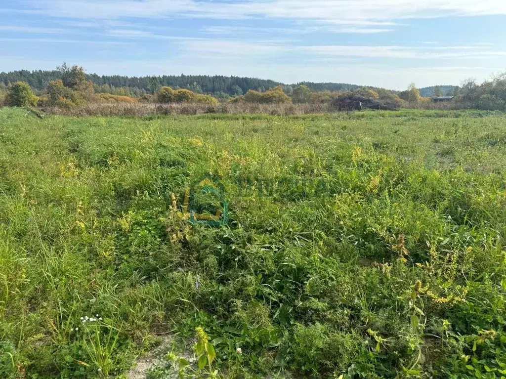 Участок в Карелия, Лахденпохский муниципальный округ, Саари СНТ  (15.0 ... - Фото 2