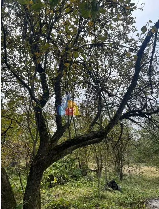 Участок в Тульская область, Тула Новомедвенский проезд, 23 (6.0 сот.) - Фото 2