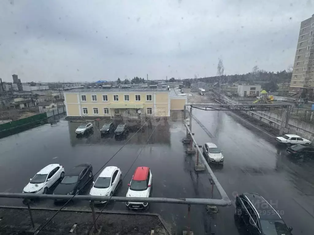 Помещение свободного назначения в Брянская область, Брянск Московский ... - Фото 1