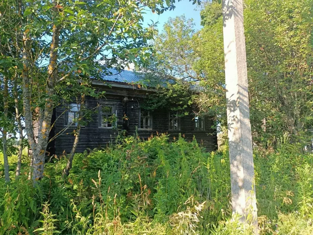 Дом в Вологодская область, Грязовецкий муниципальный округ, с. ... - Фото 1