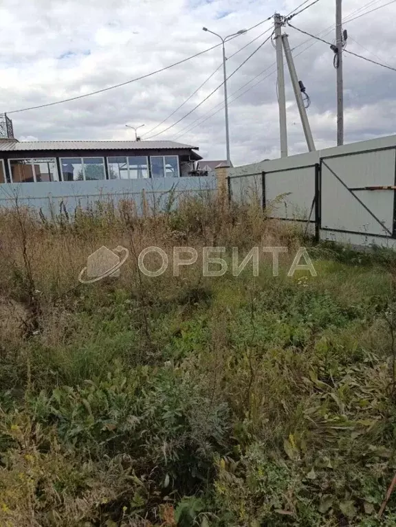 Участок в Тюменская область, Тюменский муниципальный округ, д. Ушакова ... - Фото 1