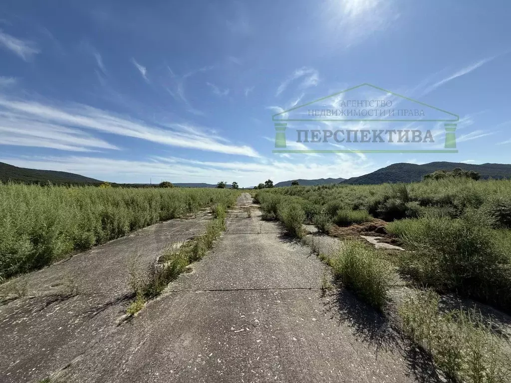 Участок в Приморский край, Шкотовский муниципальный округ, с. ... - Фото 2