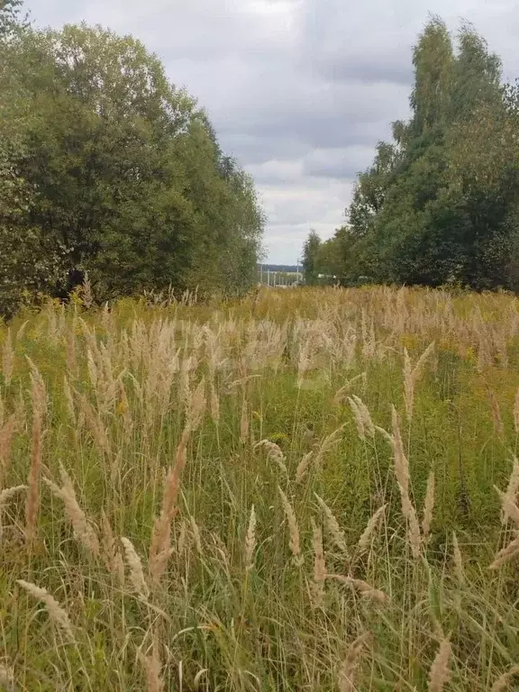 Участок в Тульская область, Тула городской округ, с. Частое  (21.89 ... - Фото 1