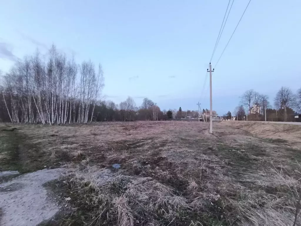 Участок в Московская область, Рузский муниципальный округ, д. Комлево ... - Фото 1