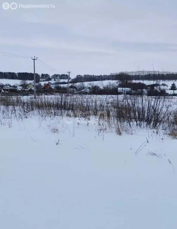 Участок в Лямбирский район, Берсеневское сельское поселение, село ... - Фото 1