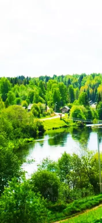 Участок в Московская область, Мытищи городской округ, д. Шолохово ул. ... - Фото 1