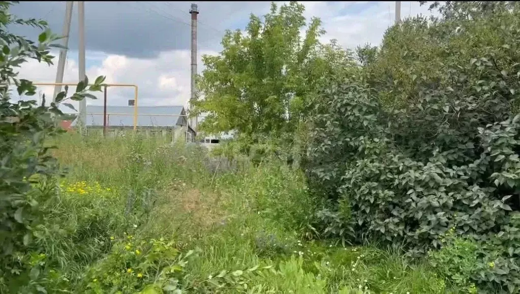 Участок в Новосибирская область, Черепановский район, Посевная рп ул. ... - Фото 1