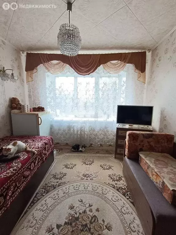 1к в 2-комнатной квартире (12 м) - Фото 1
