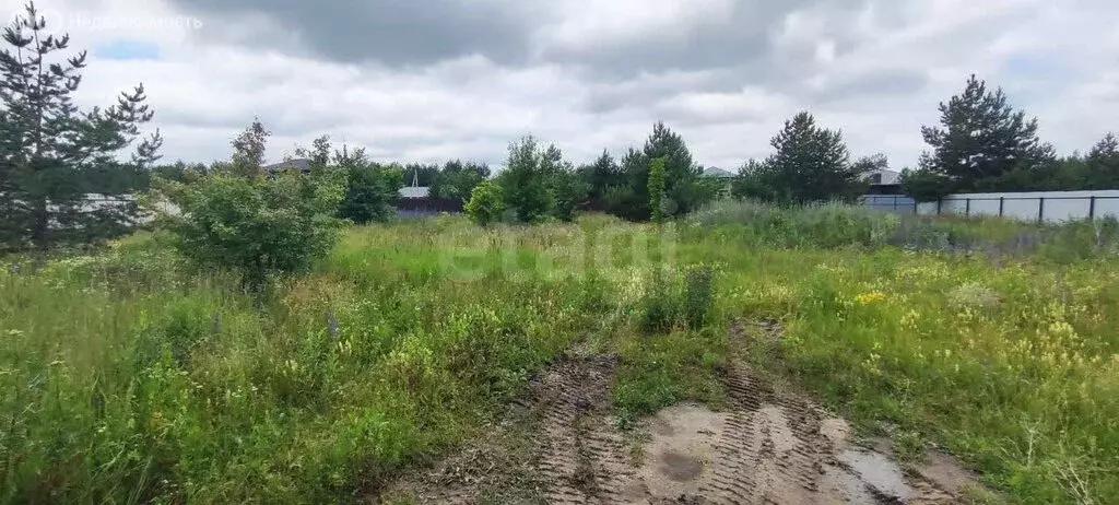 Участок в Староживотинное, Дивнолесная улица (13.23 м) - Фото 1