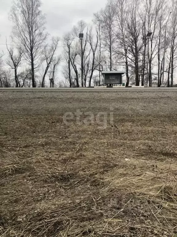 Участок в Брянская область, Брянский район, Отрадненское с/пос, с. ... - Фото 0