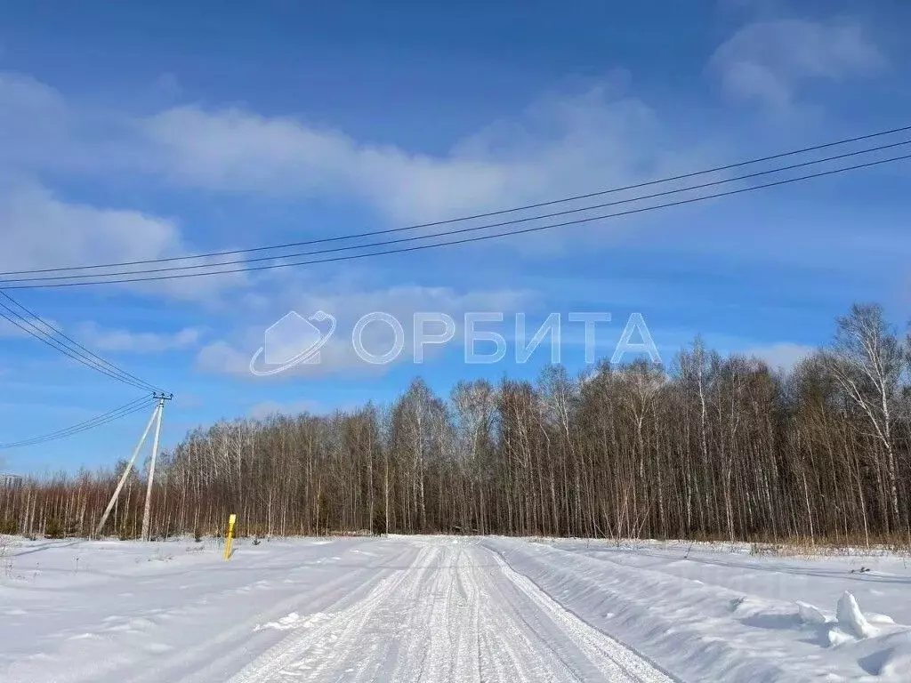 Участок в Тюменская область, Тюменский район, д. Падерина  (8.0 сот.) - Фото 0