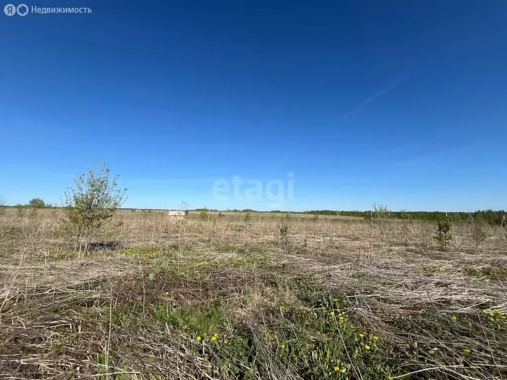 Участок в Республика Марий Эл, городской округ Йошкар-Ола, деревня ... - Фото 1