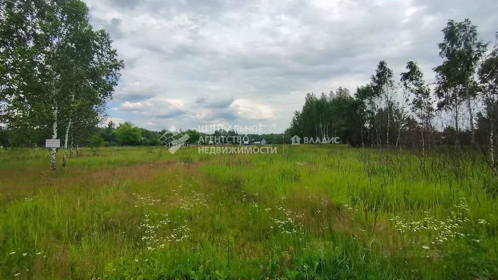Участок в Рязанская область, Рязанский район, Мурминское с/пос, с. ... - Фото 2