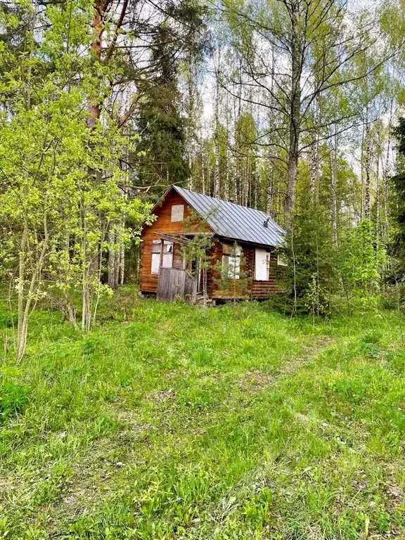 Участок в Владимирская область, Киржачский район, Першинское ... - Фото 0