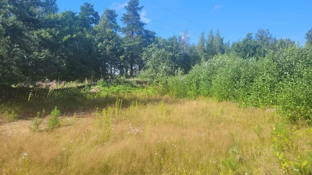 Участок в Ленинградская область, Выборгский район, Приморское ... - Фото 2