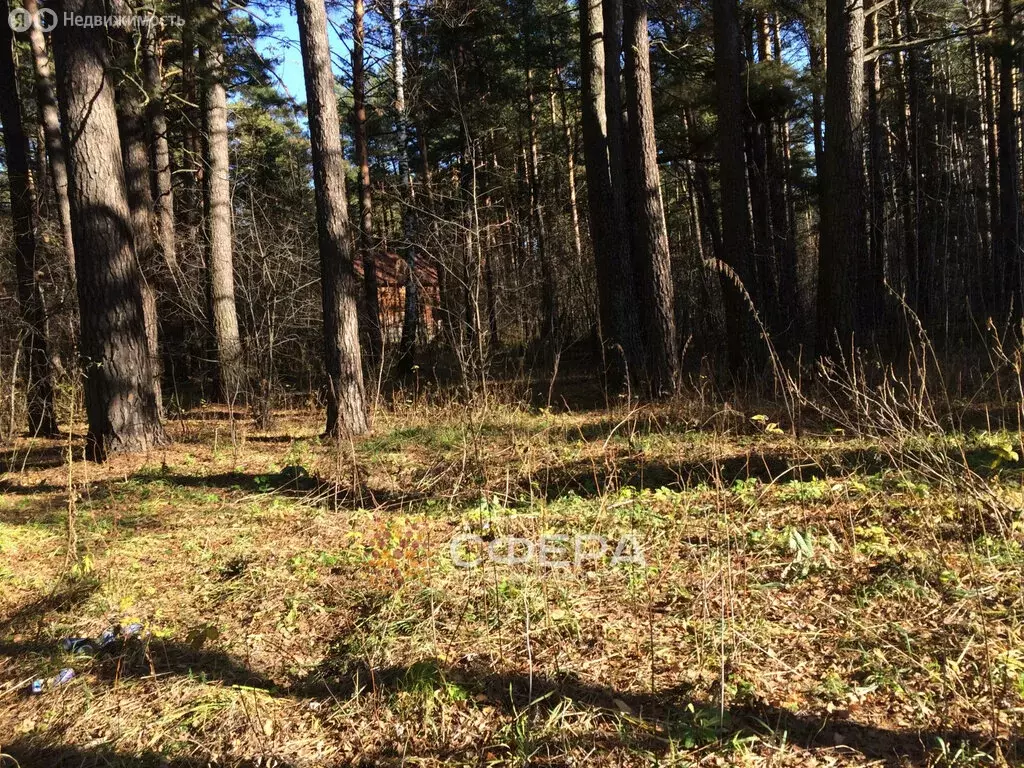 Участок в Барышевский сельсовет (11.95 м) - Фото 1