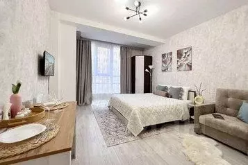 1-к кв. Санкт-Петербург ул. Кустодиева, 5к1 (28.0 м) - Фото 0