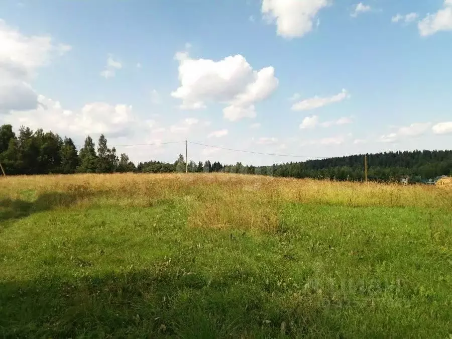 Участок в Вологодская область, с. Кубенское ул. Пролетарская, 23 ... - Фото 2