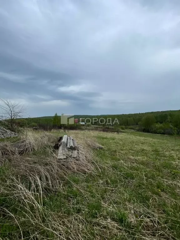 Участок в Кемеровская область, Новокузнецкий муниципальный округ, пос. ... - Фото 1