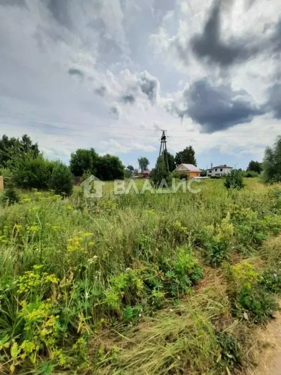 Участок в Нижегородская область, Богородский муниципальный округ, д. ... - Фото 1