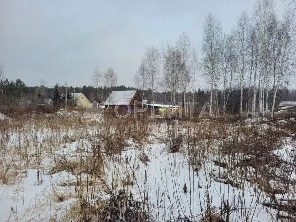 Участок в Тюменская область, Нижнетавдинский район, с. Тюнево Новая ... - Фото 1