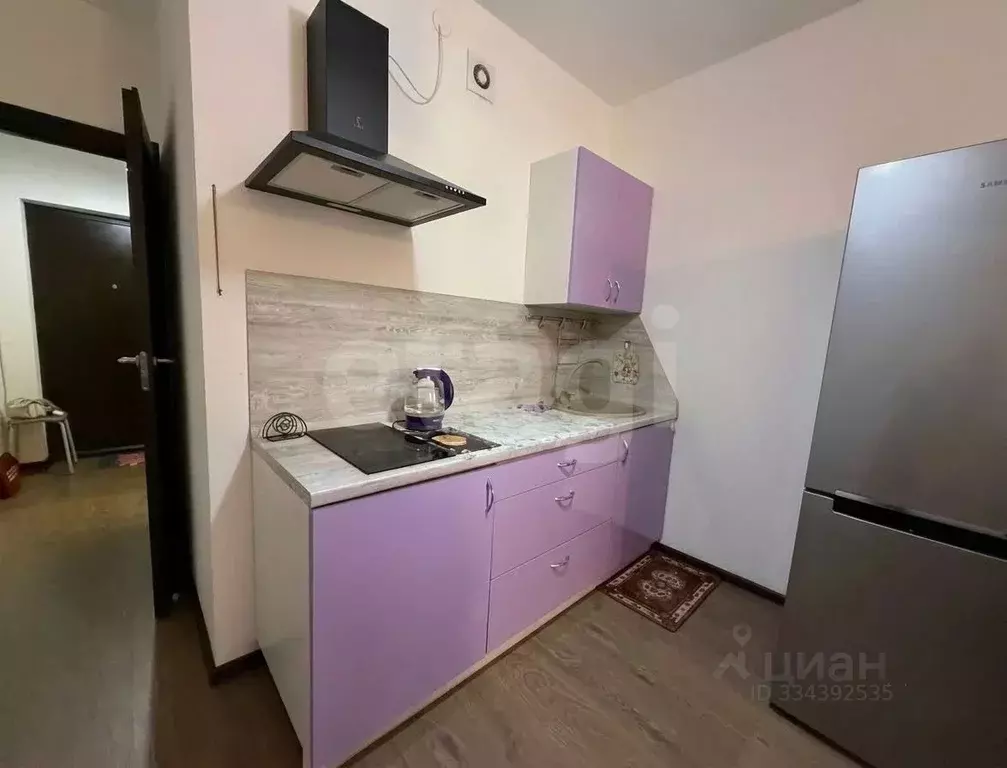 Студия Санкт-Петербург ул. Летчика Лихолетова, 14к2 (24.6 м) - Фото 1