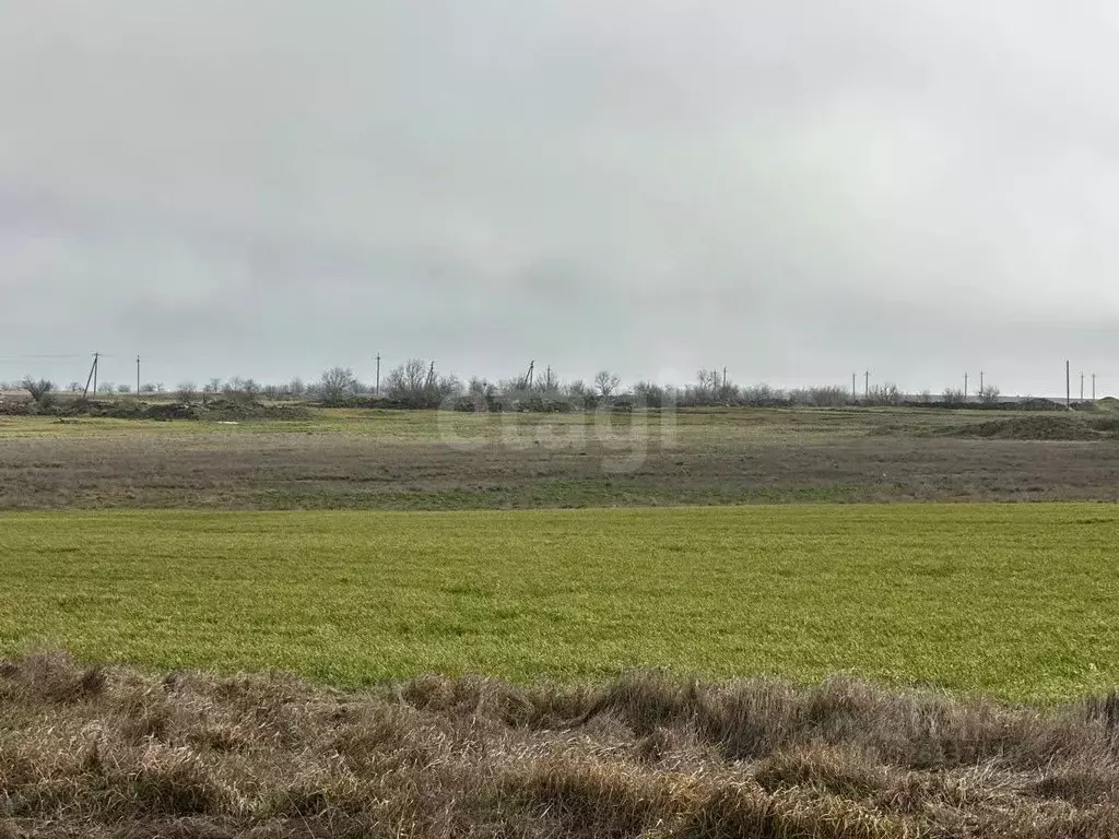 Участок в Крым, Ленинский район, Луговское с/пос, с. Ерофеево ул. ... - Фото 1