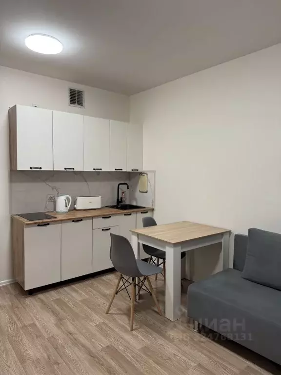 Студия Санкт-Петербург дор. Муринская, 27к3 (20.0 м) - Фото 2