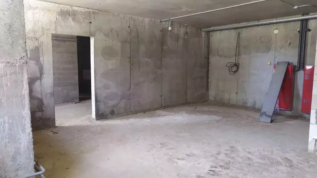 Помещение свободного назначения в Санкт-Петербург Двинская ул., 8К3 ... - Фото 1