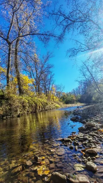 Участок в Краснодарский край, Мостовский район, Костромская ст-ца ул. ... - Фото 1