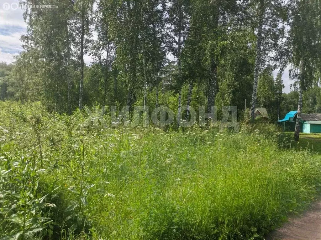 Участок в Новосибирск, СНТ Черёмушки (10.77 м) - Фото 1